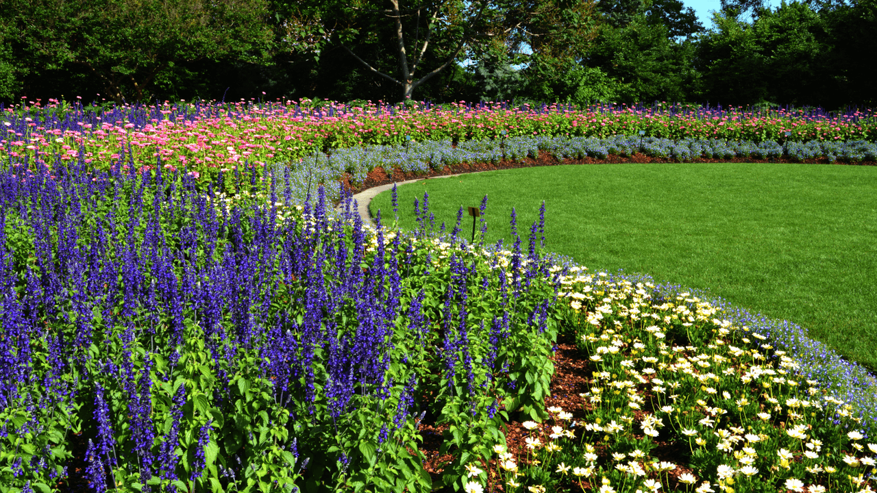 A las flores y plantas se sumarán 300 orejas de elefante tropical y 500 cannas, las cuales le darán al jardín su aspecto típico de verano.
<br>
<br>El Arboretum de Dallas es una de las 21 cosas principales que hacer en Texas, de acuerdo con U.S. News & World Report.