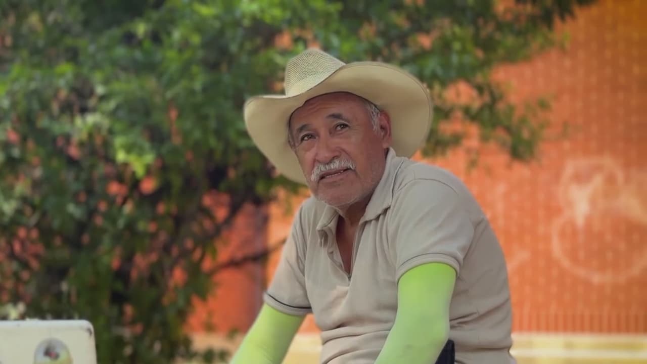 Trabajadores enfrentan el calor extremo y especialistas previenen sobre el golpe de calor