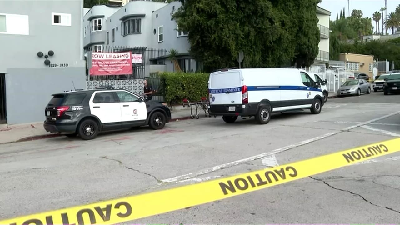 Mortal hallazgo: Encuentran los cuerpos de tres hombres en apartamento en área de Hollywood; habrían recibido disparos