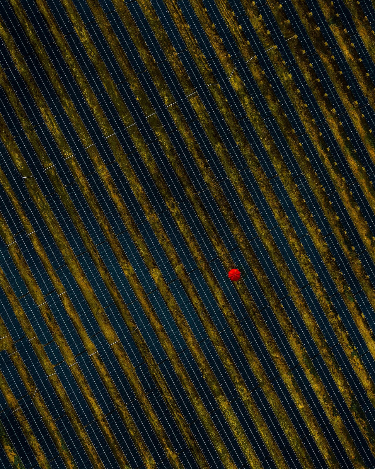 'Energía verde'. “Quiero un mundo sostenido por energía limpia que genere el menor impacto posible en el medio ambiente”, aseguró sobre esta imagen su autor, francés.