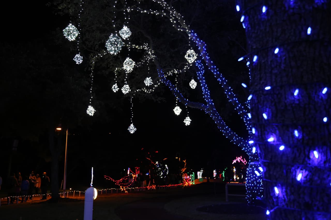 Luces que transforman un ambiente natural en una escenografía navideña.