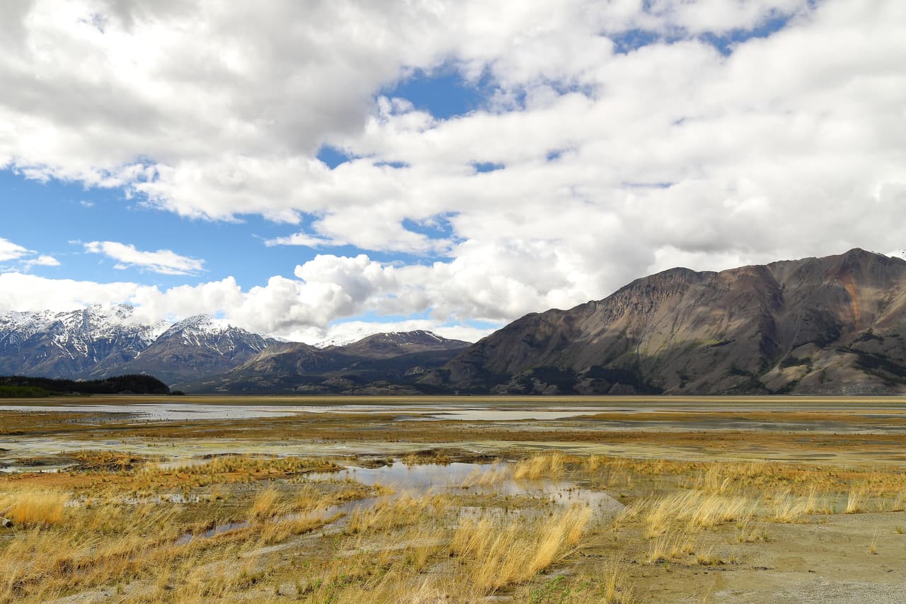Si bien el 
<b>Yukon está cubierto de bosques actualmente, durante la Era del Hielo la región era una tundra poblada de grandes mamíferos incluyendo mamuts y osos</b>. Un paisaje del Yukon en verano, Parque Nacional Kluane, Canadá.