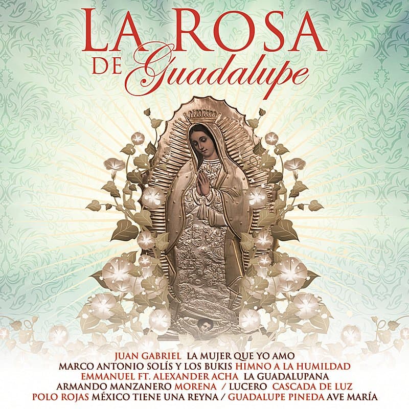 La terna Mejor programa unitario no podía faltar en los Premios TVyNovelas, 'La rosa de Guadalupe' y sus temas de actualidad vuelven a competir.