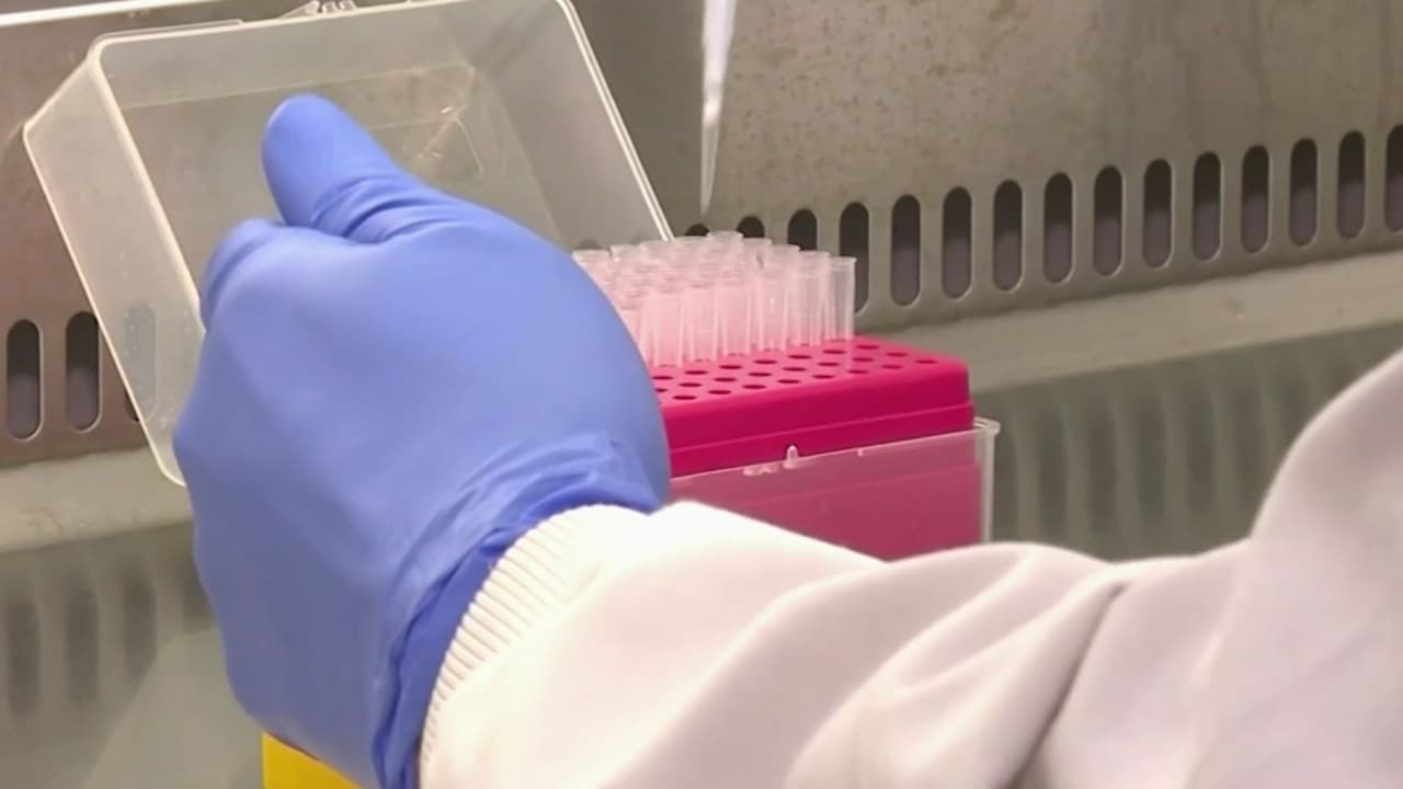 Hantavirus en EEUU: Illinois monitorea posible caso sin relación al crucero MV Hondius