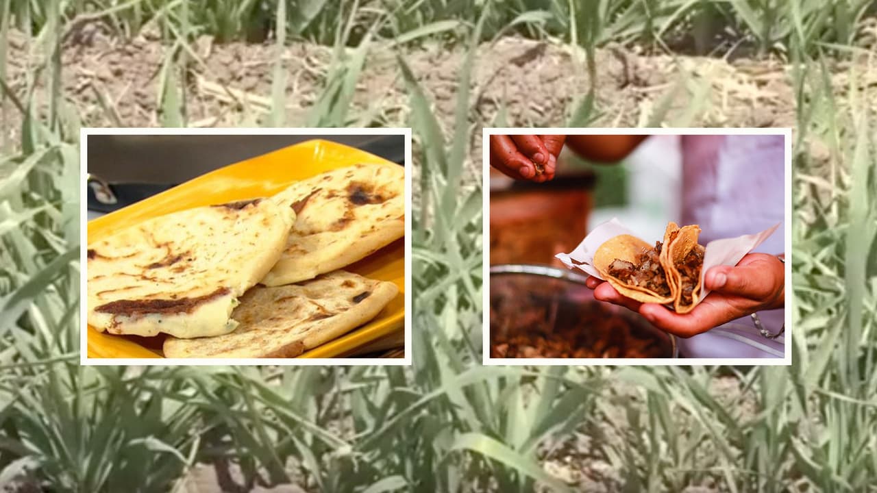 El precio de los tacos, tostadas, pupusas, arepas, gorditas y otros alimentos se ven afectados por la guerra entre Rusia y Ucrania