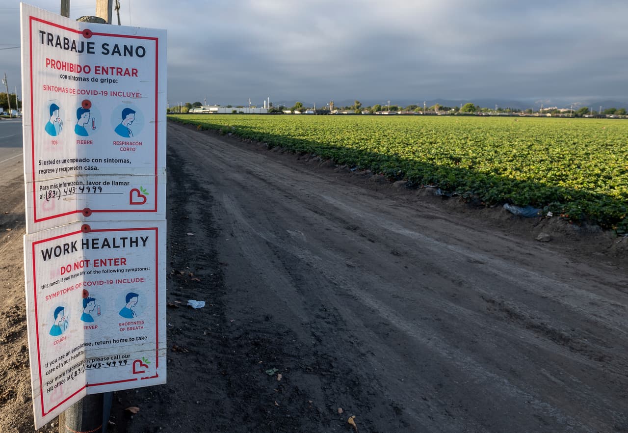 Un letrero con instrucciones de seguridad para los trabajadores agrícolas en español en una de las entradas de campo en Salinas, California, el jueves 2 de julio de 2020. A medida que los números de Covid-19 continúan aumentando, las granjas están publicando más letreros con medidas de seguridad. para proteger a sus trabajadores.