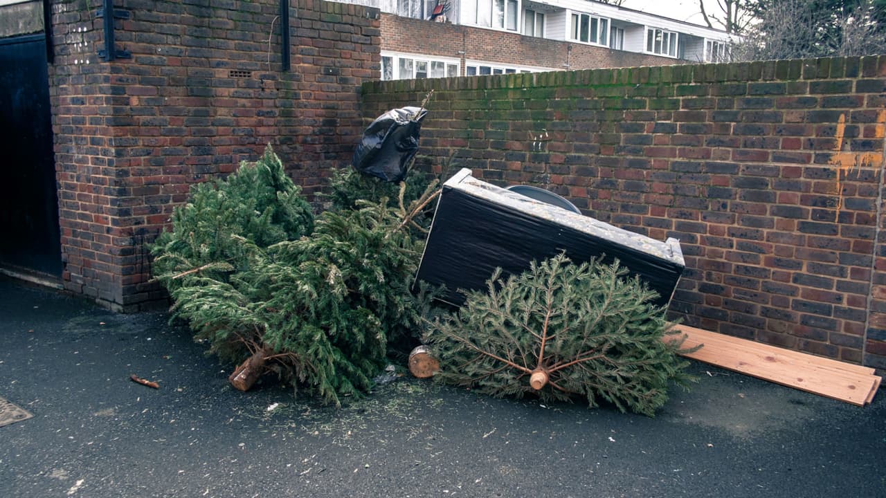 Nueva York recogerá árboles de Navidad naturales y artificiales de manera gratuita hasta el 13 de enero