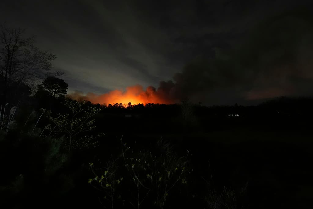 Una granja de alpacas cercana al área del incendio informó mediante Facebook que su propiedad no está amenazada y todos sus animales se encuentran a salvo.