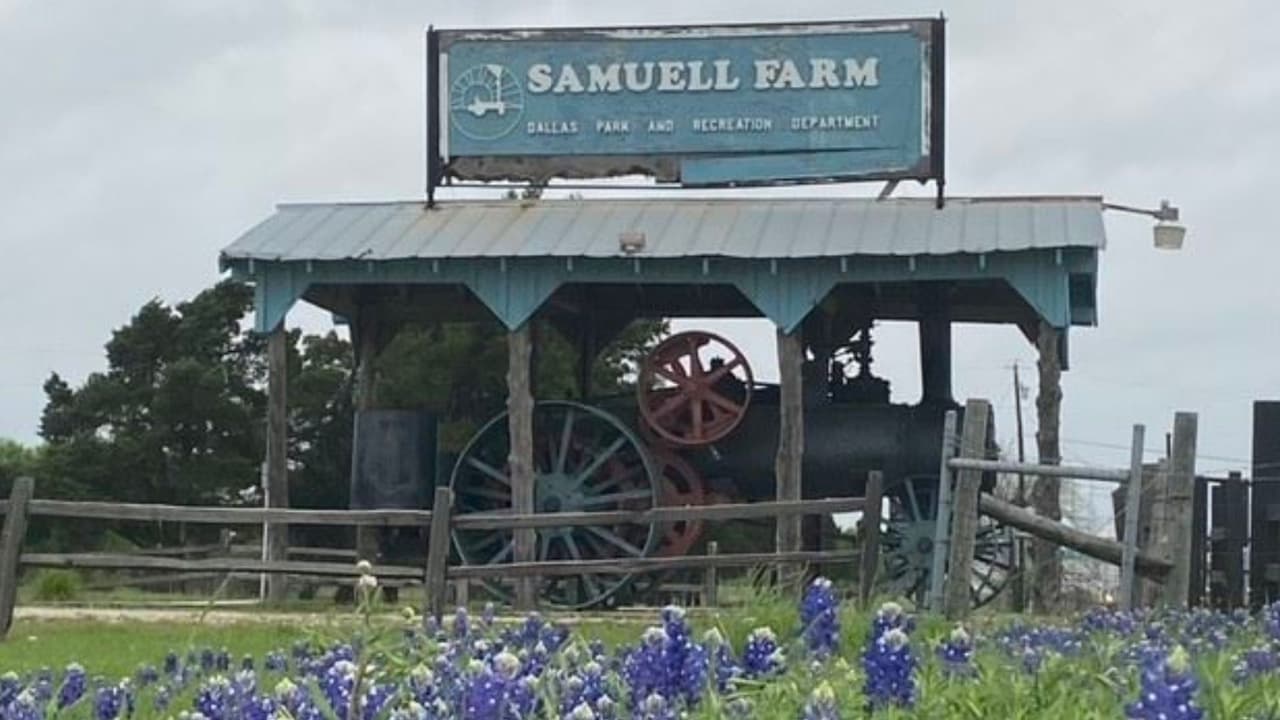 📍 
<b><a href="https://maps.app.goo.gl/C7FeK13ZEWg1oNxE8" target="_blank">Samuell Farm </a></b>
<br>Únete al Departamento de Parques y Actividades Recreativas de Dallas para disfrutar de 
<b>un evento familiar de tres días</b> que incluye acampada nocturna, 
<b>actividades recreativas y educativas diarias, una tienda de eclipses, un espectáculo nocturno y mucho más</b>. ¡No te pierdas esta experiencia única!
<br>
<b><a href="https://www.ticketsignup.io/TicketEvent/TotalityDallas" target="_blank">Encuentra más información haciendo clic aquí.</a></b>