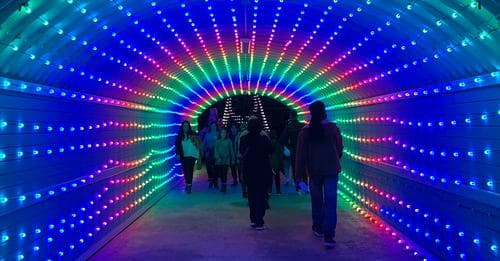 <b><a href="https://www.margaritavilleresorts.com/margaritaville-at-lanier-islands/attractions/margaritavilles-lakeside-lights-spectacular " target="_blank">Margaritaville's Lakeside Lights Spectacular at Lanier Islands (a partir del 24 de noviembre)</a></b>: Creado en 2020, Lakeside Lights Spectacular de Margaritaville es un paseo mágico a través de un espectáculo de iluminación con música festiva de temporada en las Islas Lanier. Toma una bebida y un dulce en el Tiki Bar, juega al minigolf Polar y agrega a la experiencia la diversión invernal en License to Chill Snow Island en Margaritaville.