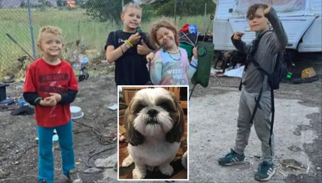 Familia sin hogar cuida a perrito robado, ahora serán recompensados por su gran corazón.