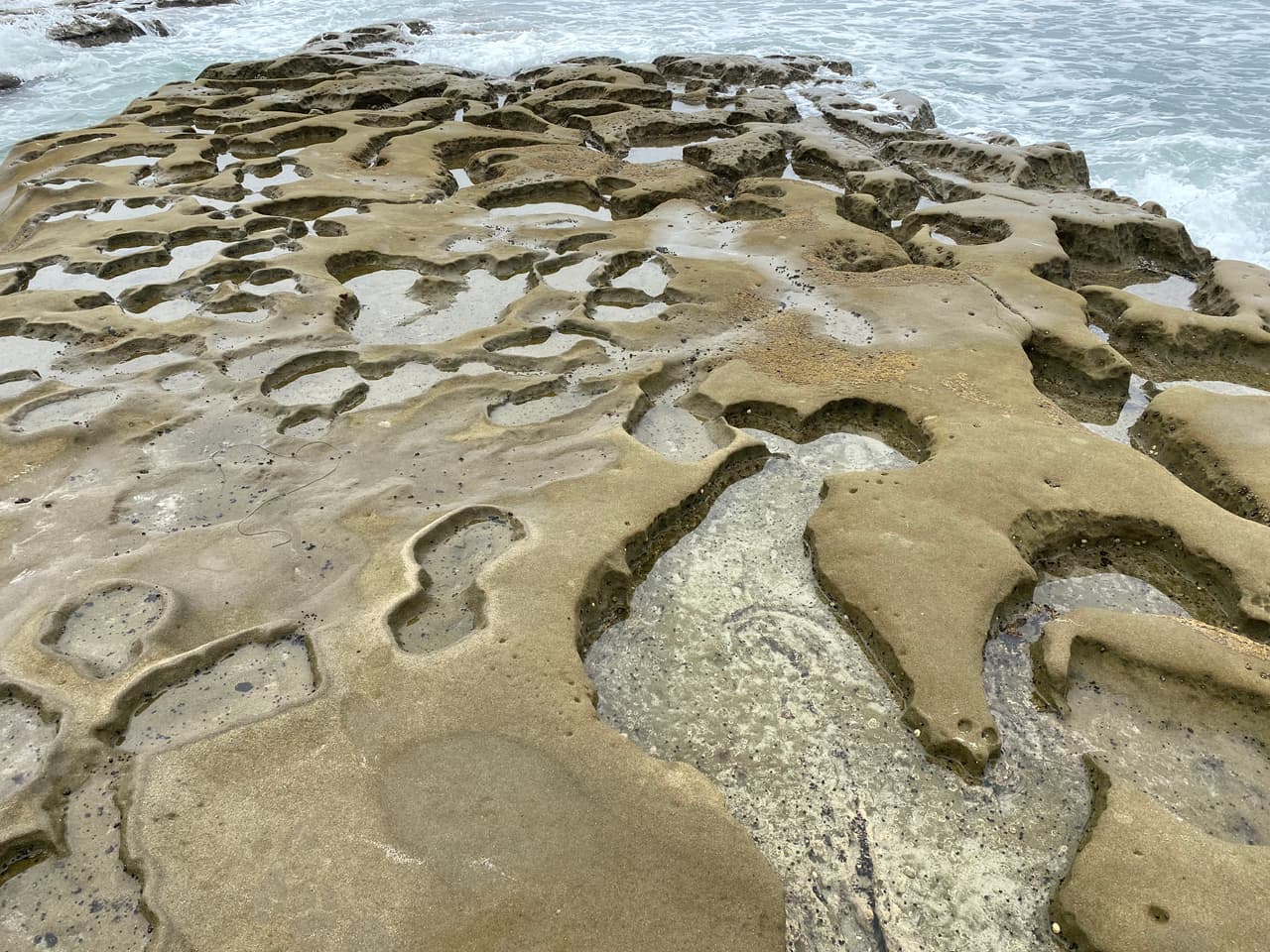 El gran parche rocoso frente al mar hace de tu recorrido un tiempo de exploración y descubrimiento de diversas especies marinas en la zona.