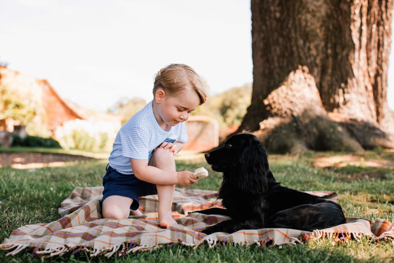 En esta propiedad los niños pueden 
<b>compartir con sus mascotas</b>, entre ellos se encuentran Lupo (en la foto), un perro de la raza Cocker Spaniel, y Marvin, un hámster.