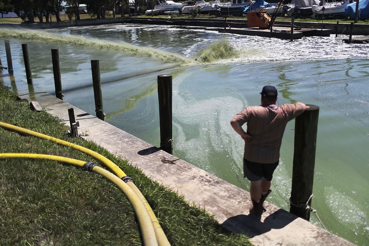 FEMA rechaza por segunda vez petición de Estado de Emergencia en Florida por algas tóxicas