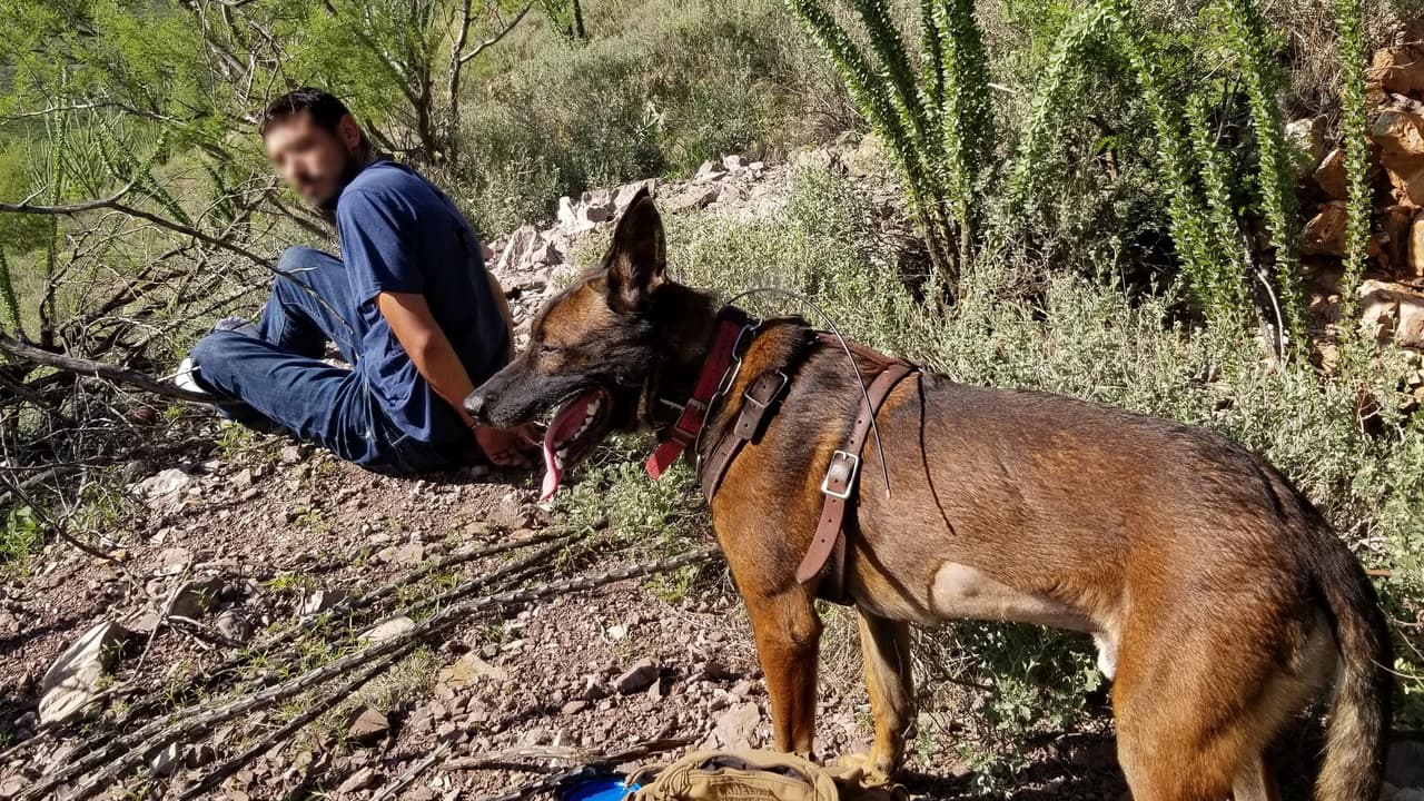 En un esfuerzo de colaboración, los agentes del Sector de Tucson, K9 Nero y el Departamento de Seguridad Pública de Arizona localizaron y arrestaron a un ciudadano estadounidense que huía, que tenía bajo su posesión de un vehículo que se informó anteriormente como robado.