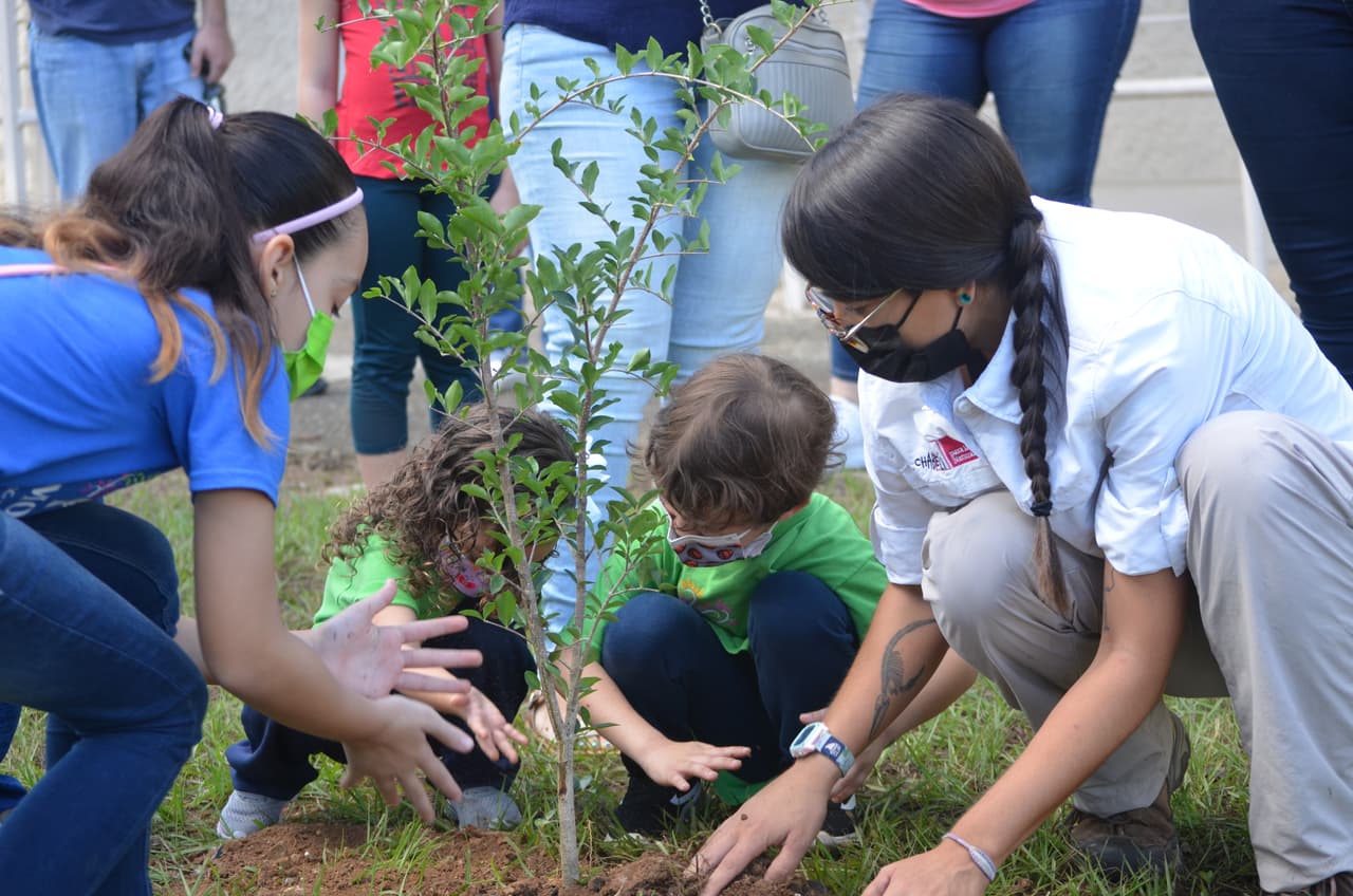  Comenzar  el regreso a clases junto a la Naturaleza 