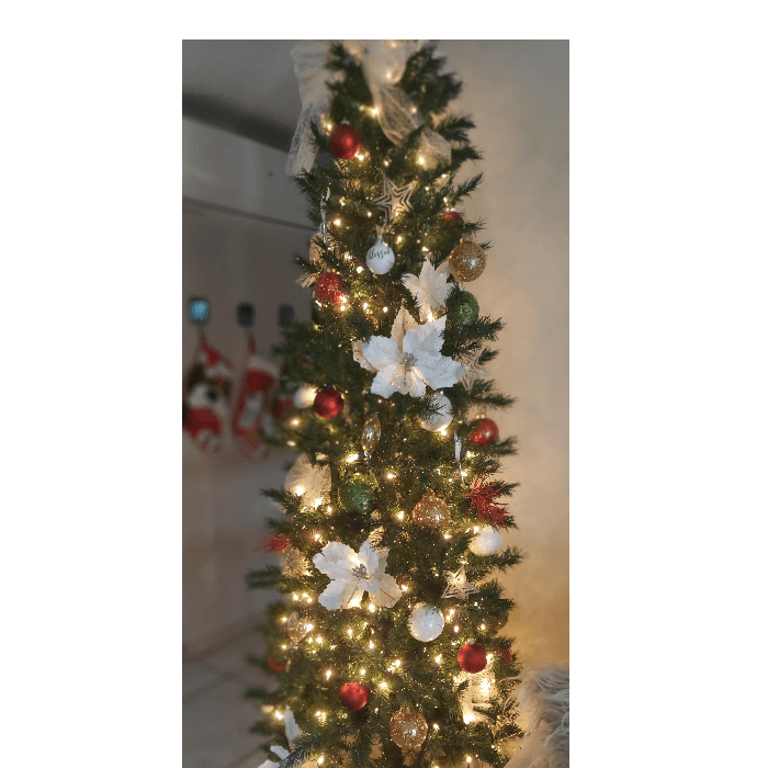 Desde Cabo Rojo, la familia Vega envió una foto de su espectacular árbol de Navidad.