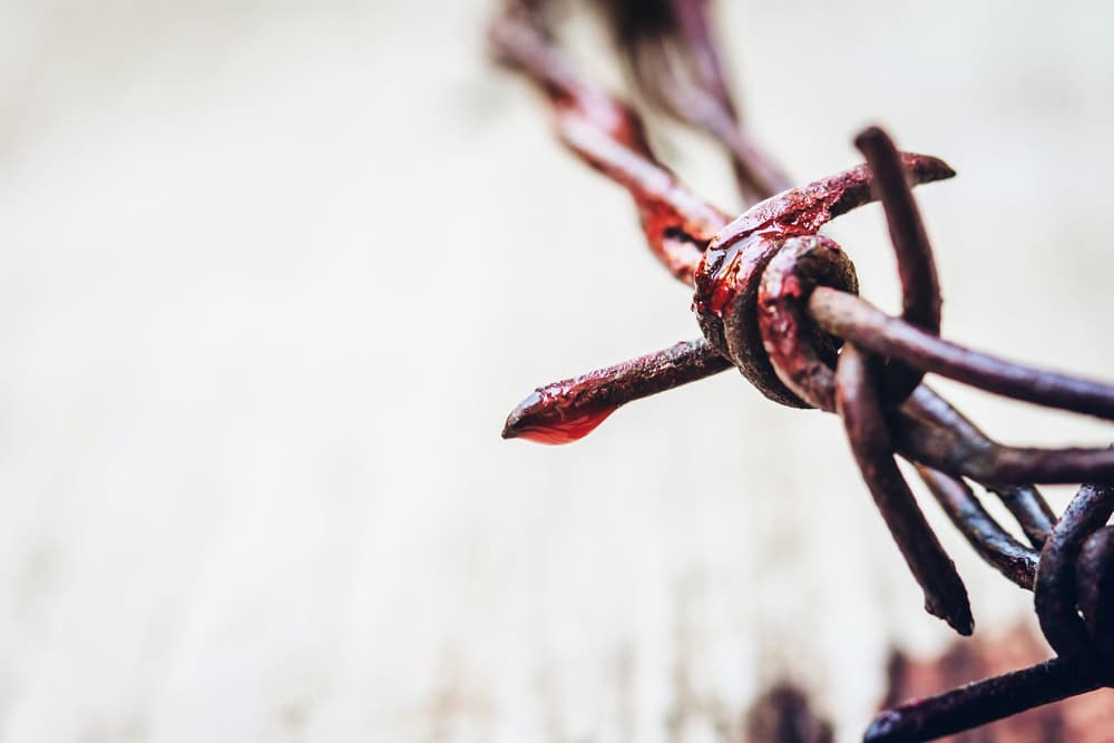 También se acostumbra rezar el Vía Crucis, conocido además como Camino a la Cruz. Con estas oraciones, se acompaña a Jesús en sus horas finales, mientras se repasan los catorce momentos (o catorce estaciones), desde su condena hasta su muerte y sepultura.