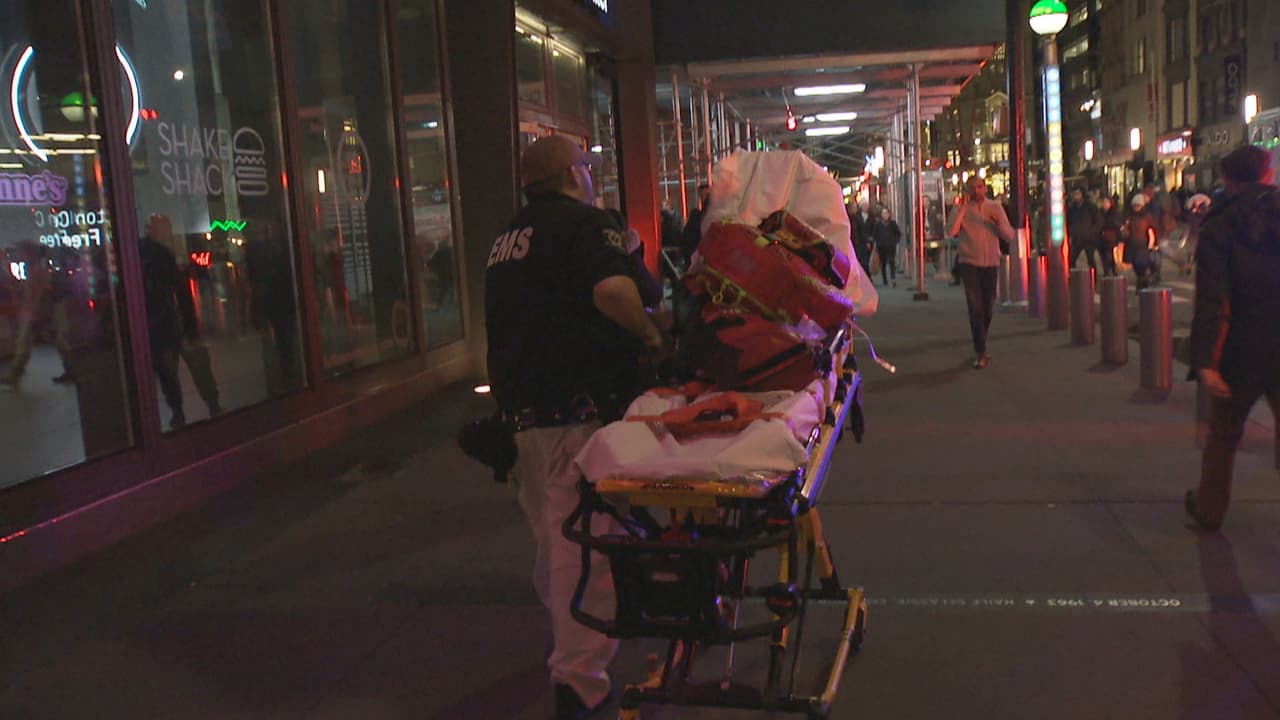 Muere niño de 2 años tras ser atropellado por tren en el Bajo Manhattan 
