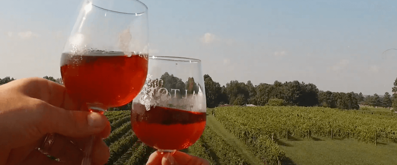 Shawnee Hills Wine Trail. La Ruta del Vino de las Colinas de Shawnee cuenta con 11 bodegas galardonadas situadas a lo largo de un recorrido panorámico de 35 millas por la carretera 127 y la carretera 51 en el Bosque Nacional de Shawnee. A lo largo del camino, podrá hacer un picnic, ir de excursión y así disfrutar de los colores de otoño. Date prisa pues se recomienda que sean visitados la última semana de octubre.