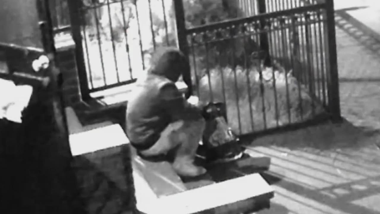 Sujeto quema con sustancia química el rostro de una mujer en Brooklyn