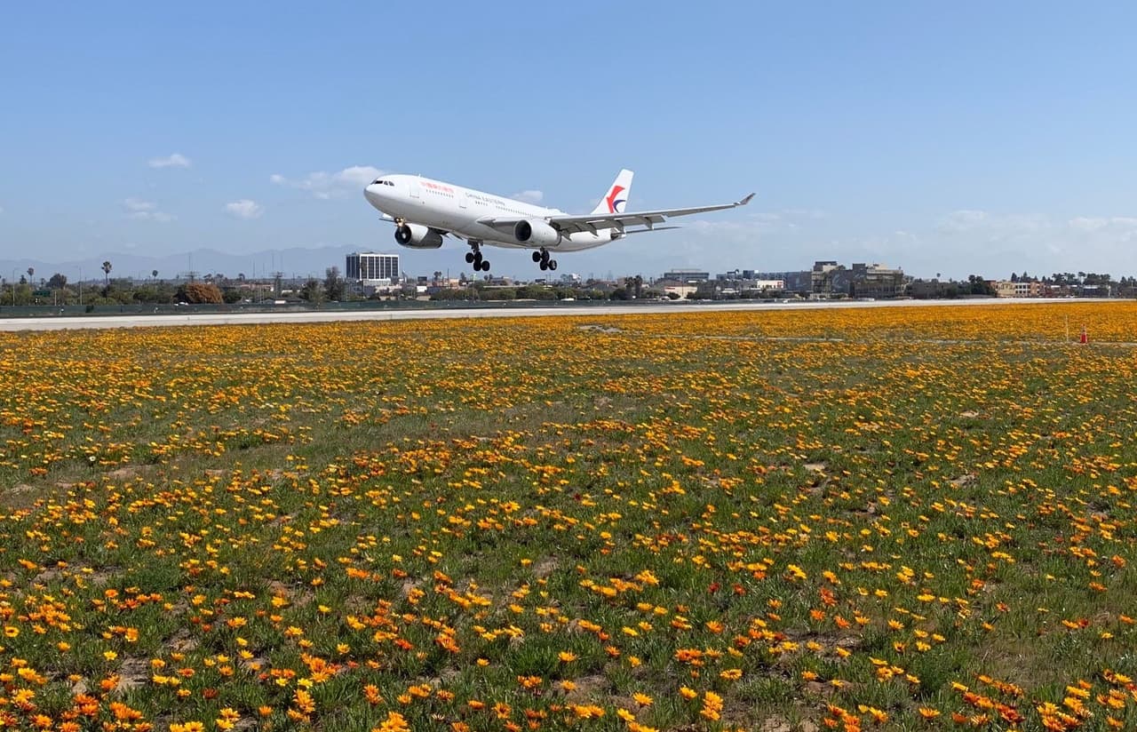“Esto estimula a nuestra gente a que vayan y se pongan la vacuna ya una vez que agarras un poquito más de libertades en cuanto a moverse y viajar“, dijo el doctor Kasein González.