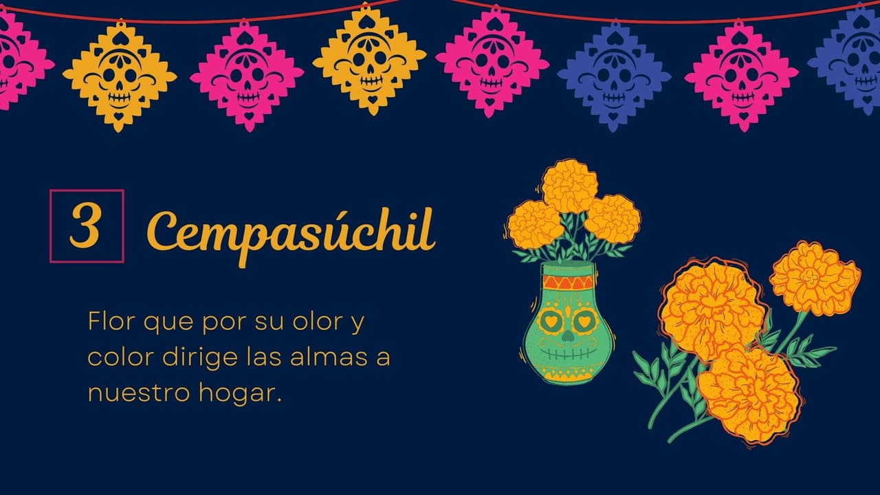 En los
<a href="https://www.univision.com/local/sacramento-kuvs/arreglos-florales-para-decorar-tu-altar-de-dia-de-muertos-video">altares</a> para los niños se utiliza alhelí o nube, por ser blancas y representar la pureza e inocencia de los pequeños.