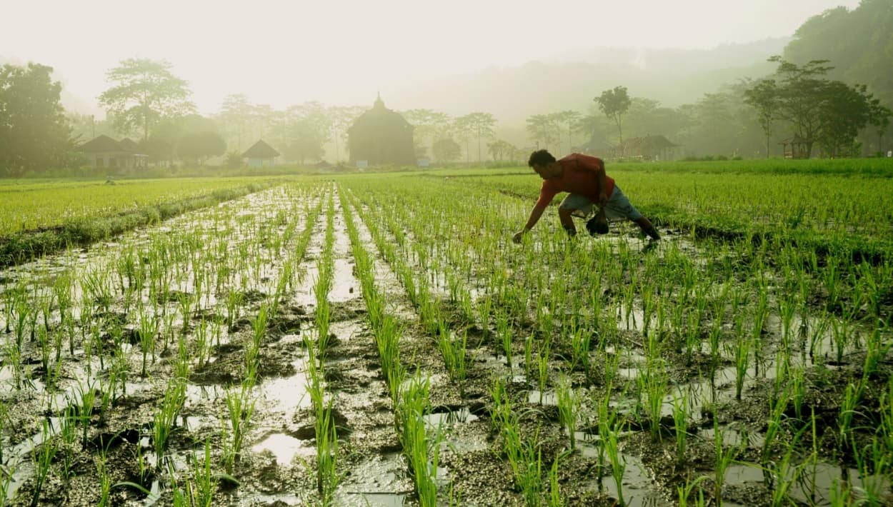 Agricultores del condado de Kern preocupados por sus cosechas tras la tormenta Hilary