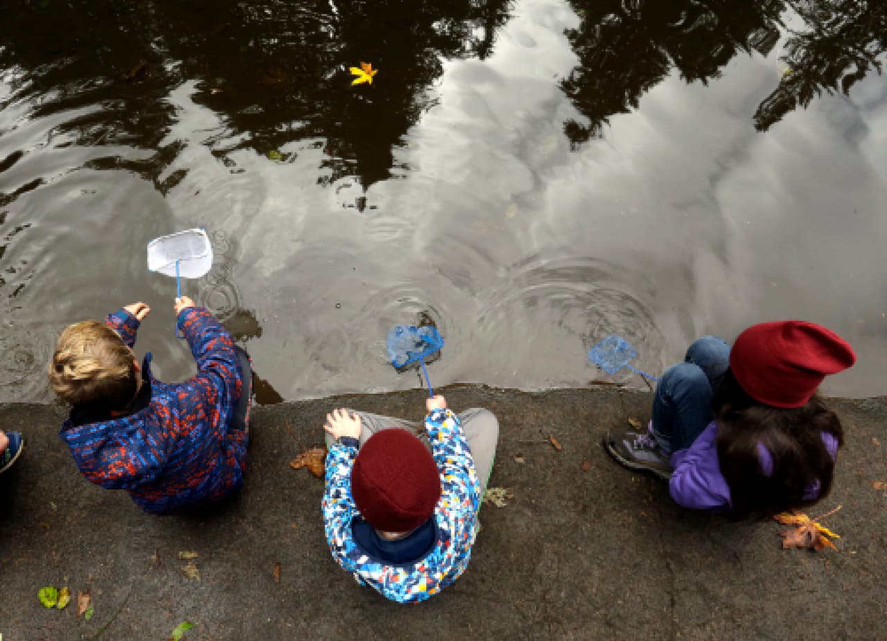 Los programas de educación al aire libre deberán cumplir varios requisitos, como un currículo que incluya el estudio de plantas, animales, suelos y agua.