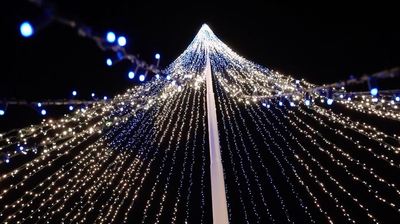 ¡En 2020, una escena titulada Campo mágico de luces hace su debut para conmemorar el año 29 de este espectacular evento navideño!
<br>
<br>La escena Field of Lights tiene casi dos campos de fútbol de largo, con un árbol de Navidad de más de 10 pisos de altura, lo que lo convierte en el árbol de Navidad más alto del sur.
<br>
<br>Dentro de Christmas Village, compre regalos de artesanos de Georgia y delicias especiales.
<br>
<br>Abierto desde el 20 de noviembre de 2020 hasta el 4 de enero de 2021
<br>
<br>Antes de su viaje, revise
<a href="https://www.callawaygardens.com/covid-2/" target="_blank">las precauciones COVID-19 y las preguntas frecuentes de Callaway Gardens Resort</a> .