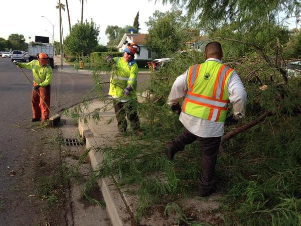 Estos son algunos de los daños que dejó a su paso una tormenta severa en Phoenix.