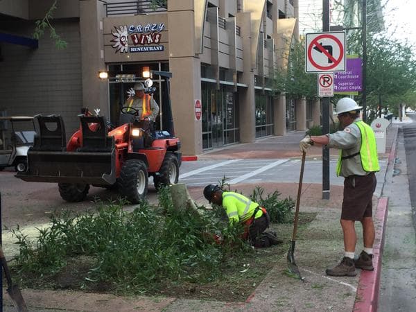 Cinco Consejos para después de la tormenta