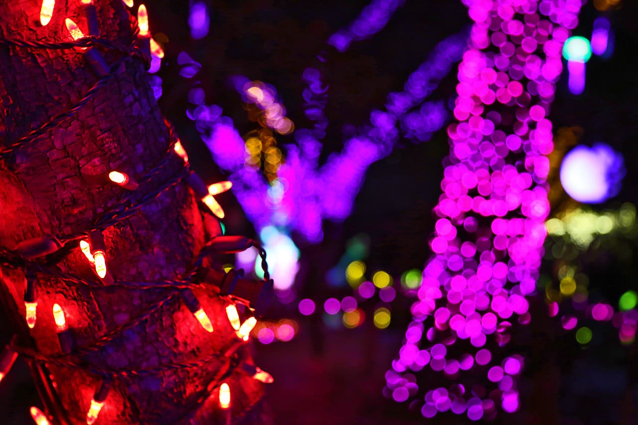 Revisa si las luces tienen cables enredados, gastados, expuestos, enchufes rotos o partidos. 
<br>
<br>Usa las aprobadas por una empresa experta y de confianza, y un máximo de tres juegos normales por cada extensión y por enchufe, sin sobrecargar los tomacorrientes. 
<br>