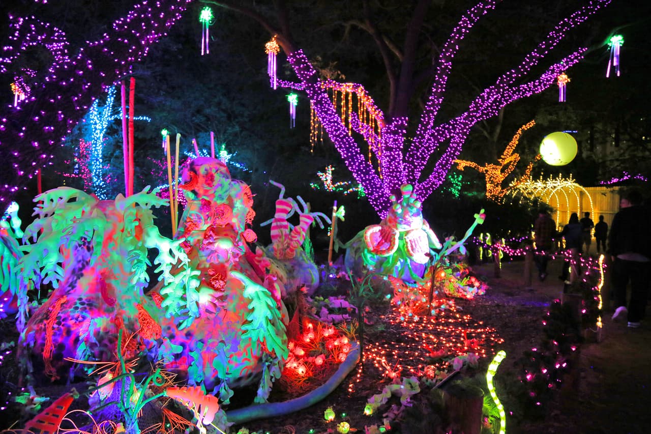 Combinación perfecta de luces, color, diseños y naturaleza.