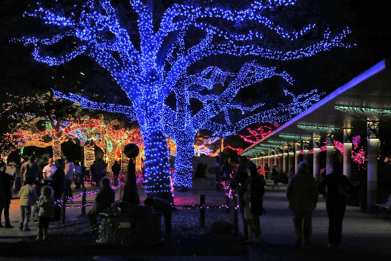Durante esta Navidad los jardines del zoológico lucen como verdaderos paraísos mágicos.