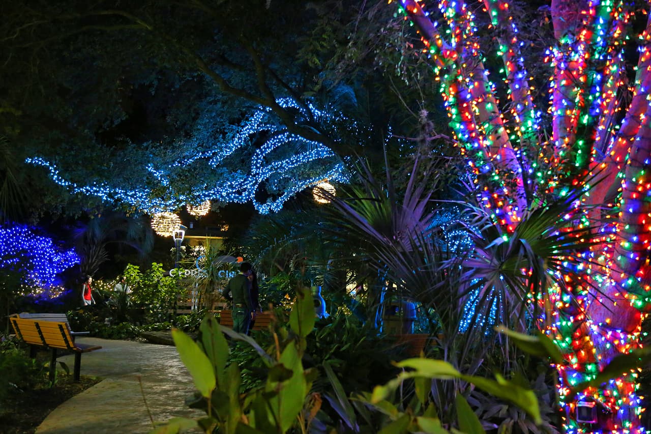 Jardines multicolor donde la naturaleza convive con la fantasía.