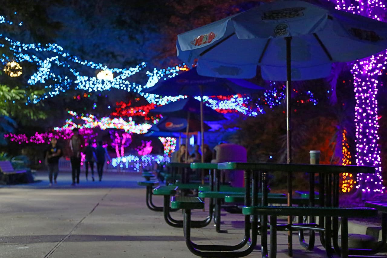 Todo está diseñado para que el visitante viva una noche mágica.