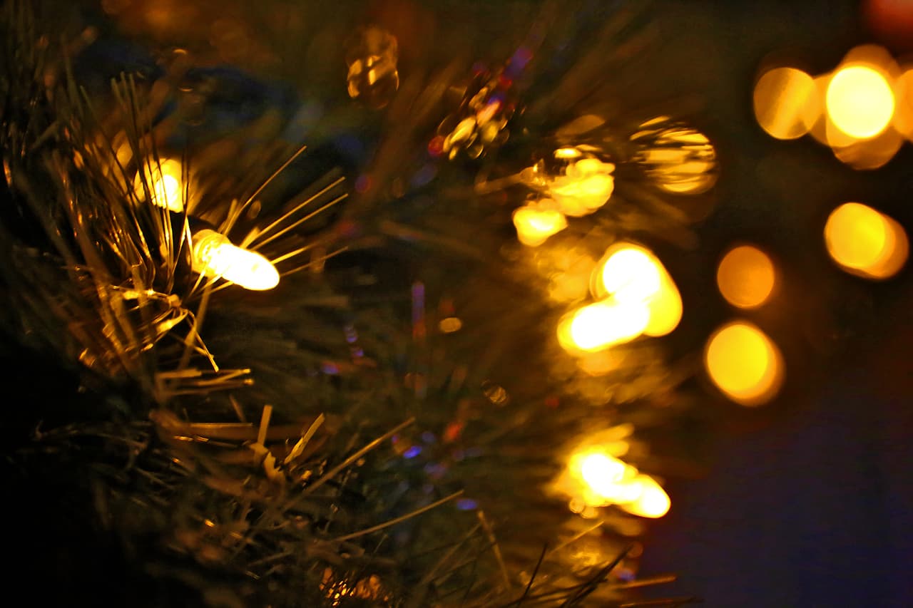 Un acercamiento para poder apreciar la maravilla del color y la luz