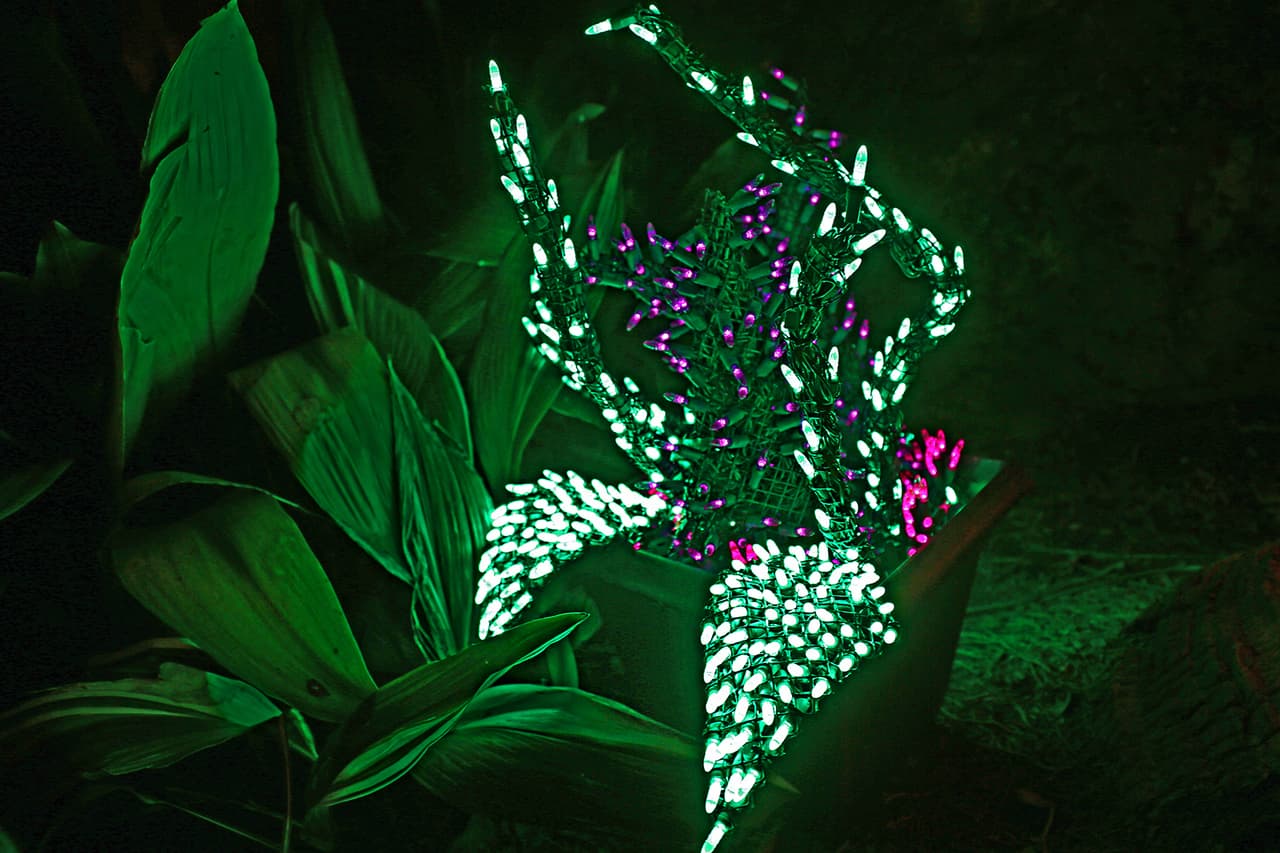 Hermosas plantas florales recreadas minuciosamente con luces diminutas.