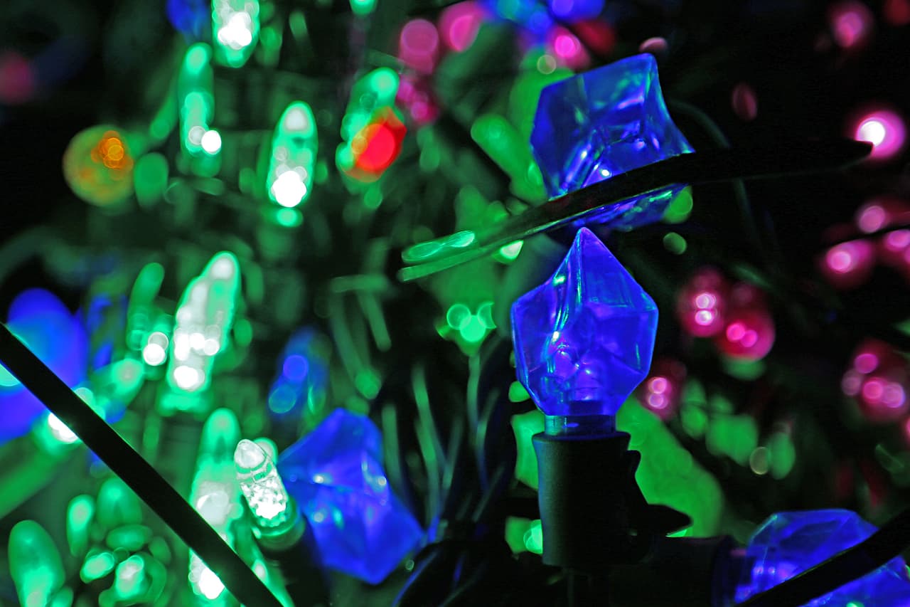 Un acercamiento para poder apreciar la maravilla del color y la luz.