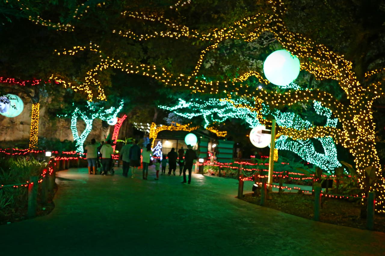 Los visitantes de estos jardines luminosos no tienen prisa.