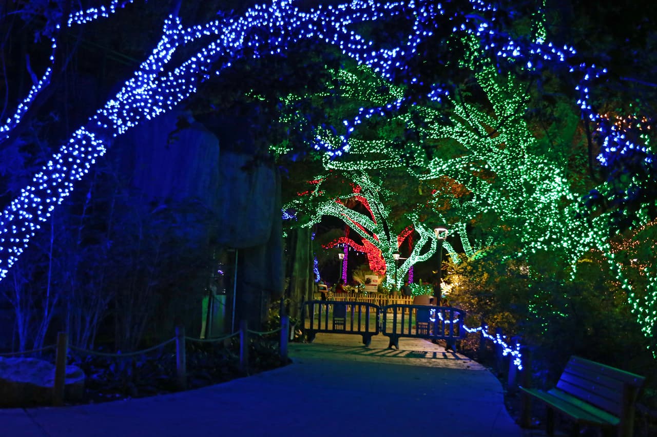 Un escenario propicio para recrear historias mágicas.