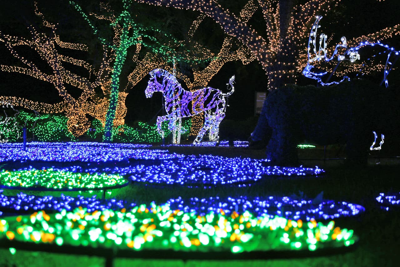 Fauna y flora recreados con miles de luces