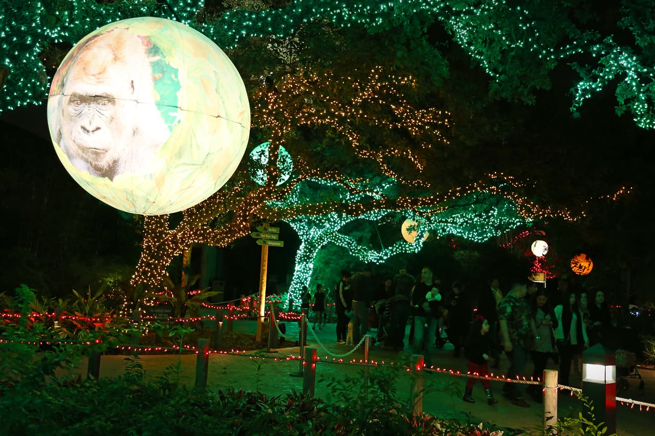 Los visitantes pueden disfrutar de diversos ambientes recreados con luces.