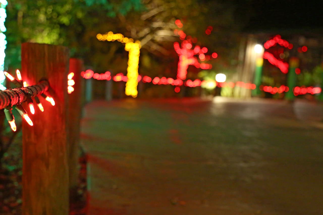 Cada pequeño detalle captura la atención.