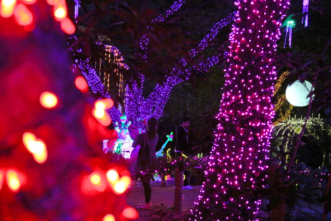 Tiempo para la contemplación de los ambientes mágicos