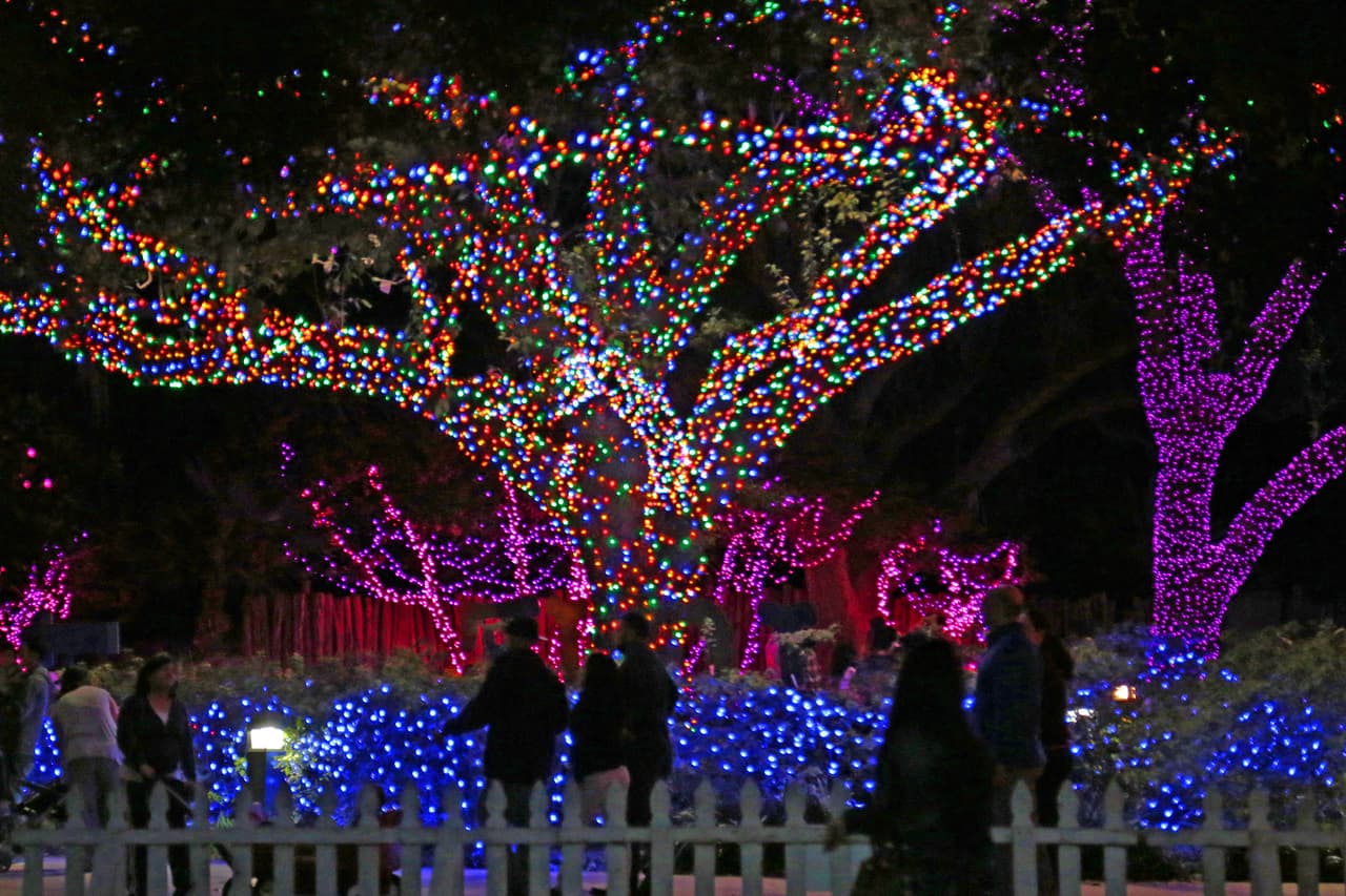 Bosques como sacados de fábulas infantiles.