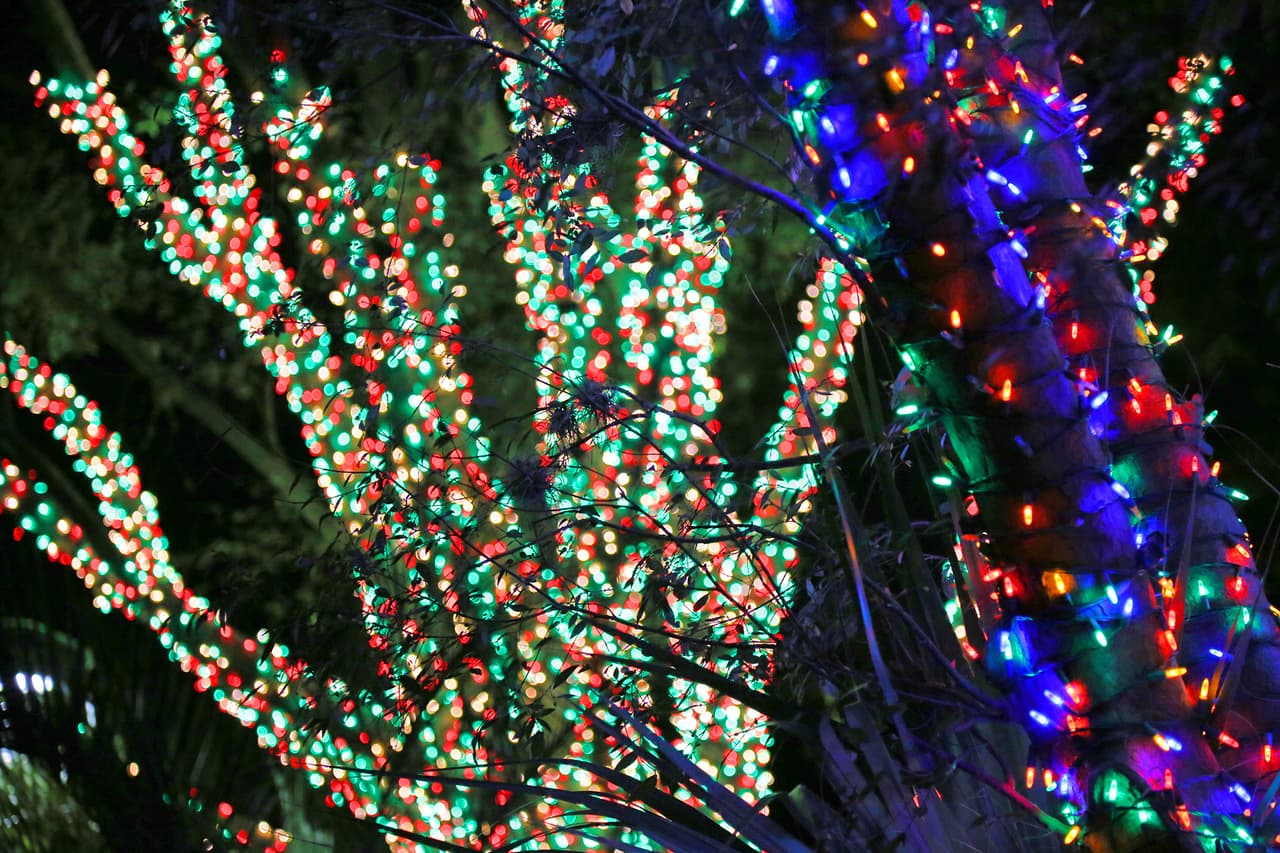 Luces de todos los colores, para todos los gustos.