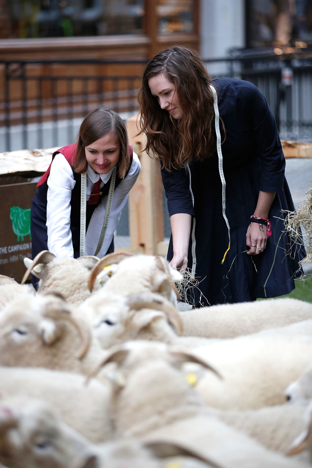 Las sastres saben lo importante que son las ovejas y las cabras para su trabajo, ¡por eso les agradecen tanto!