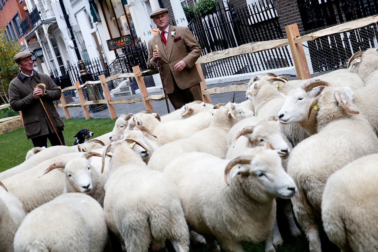El público se encuentra emocionado por todas las actividades planeadas para la semana.